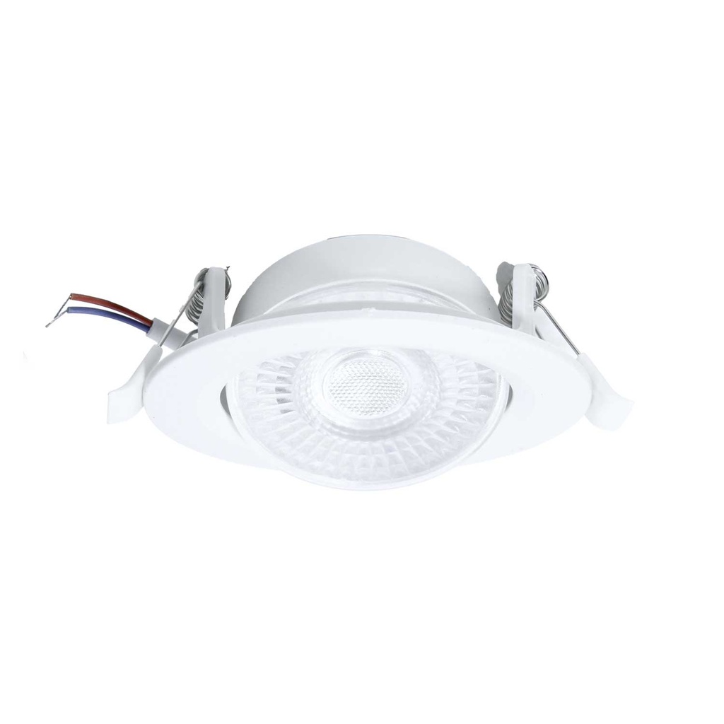 Lámpara Led Alumbrado Público 110/220V 6500K