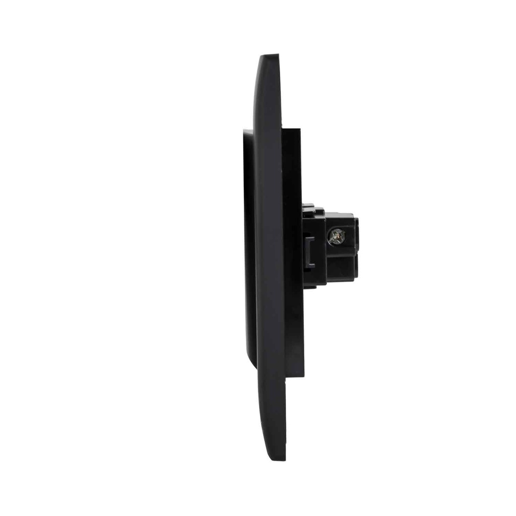 L. Lyra Interruptor Negro 10A 125V