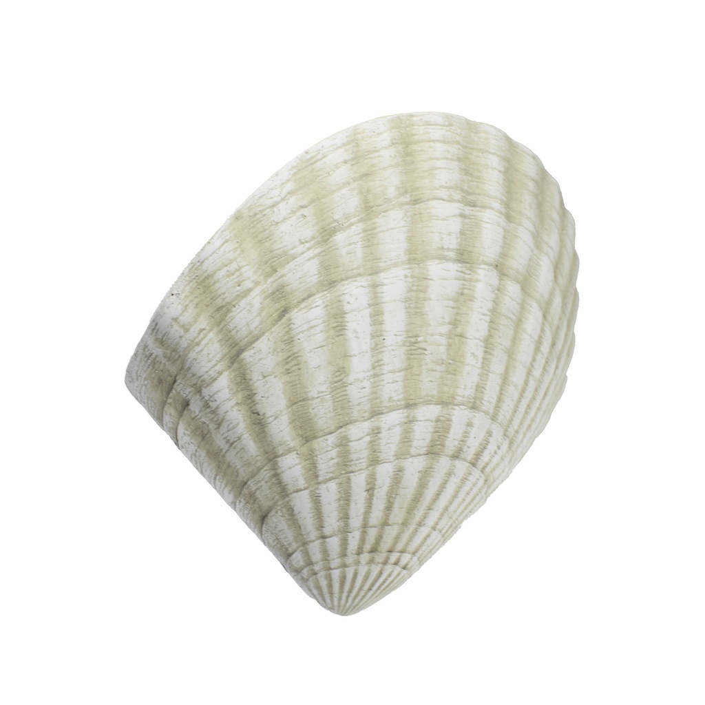 Lámpara Dw Voca Muro Concha 60We27 Beige 424W