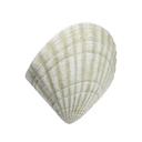 Lámpara Dw Voca Muro Concha 60We27 Beige 424W