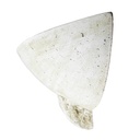 Aplique Decorativo Muro Dw Cuenco 60W E27