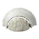 Aplique Decorativo Muro Dw Domo 60W E27