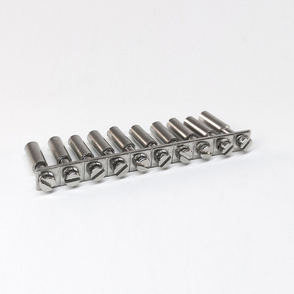 Puente Tipo Tornillo Para Borna 10P