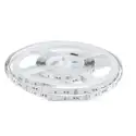 Cinta 60Led 2835 5Mts 12V