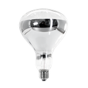 Reflector Infrarojo 110V E27