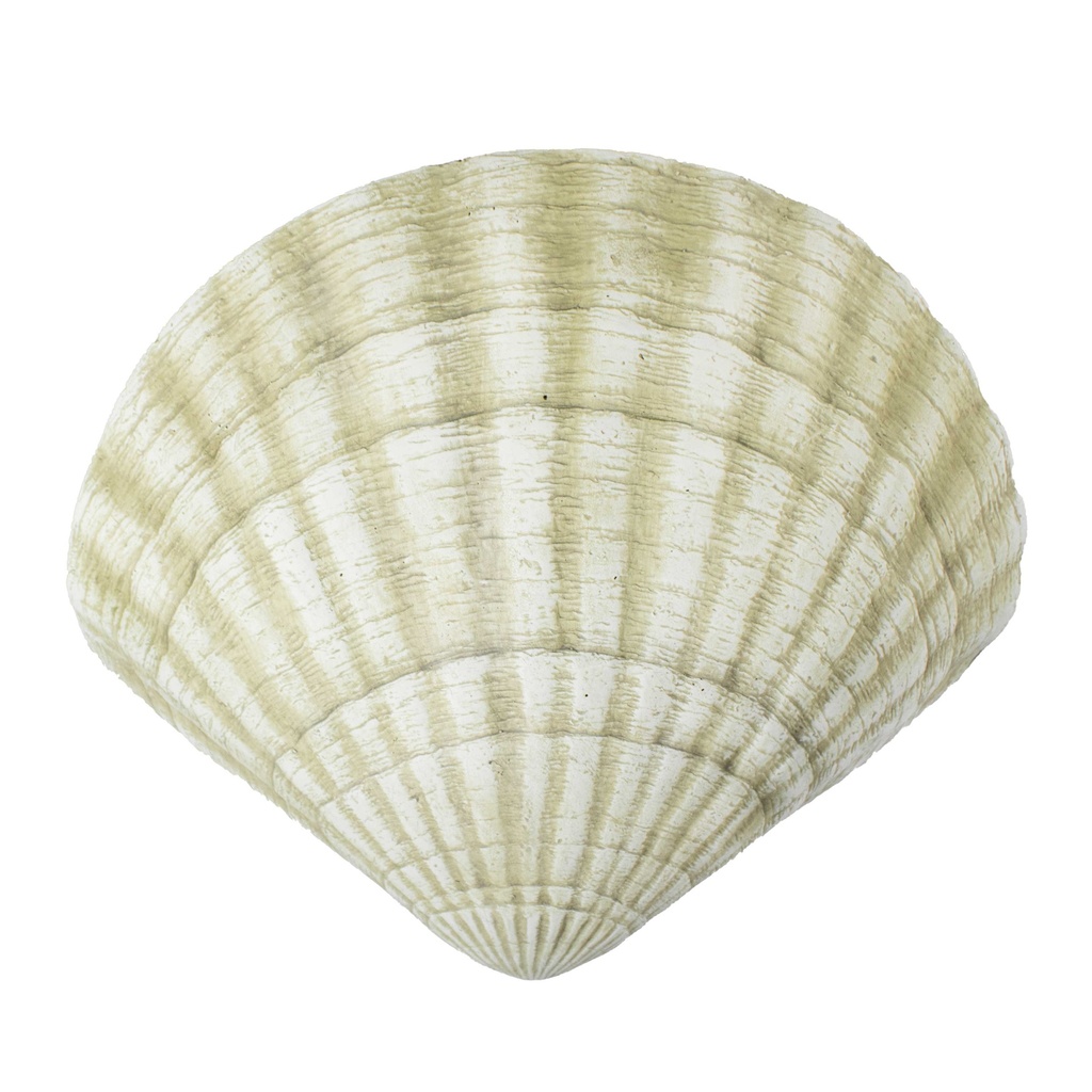 Aplique Decorativo Muro Dw Concha 60W E27